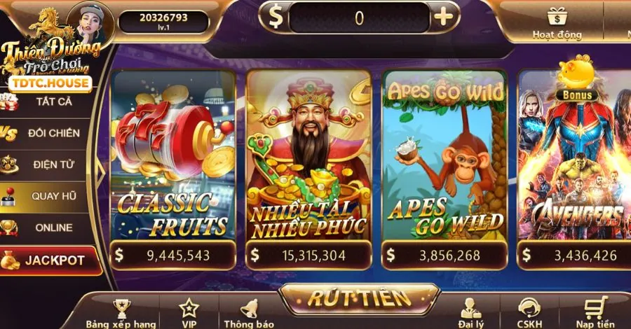 Giải Đấu và Sự Kiện Y088
